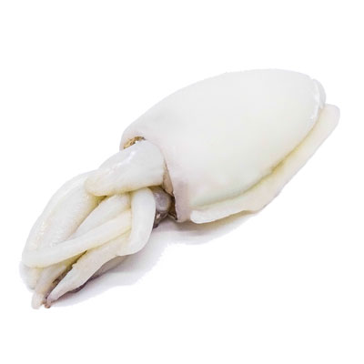 Cuttle Fish Whole Cleaned - Royal Caviar UAE